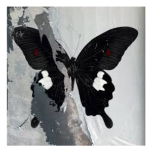 Death Cult – Paradise Now