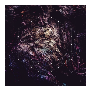 Psychonaut – Unfold The God Man